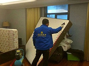 夜夜與螨蟲相伴，對您和家人的身休會有哪些危害？怎樣清除螨蟲？